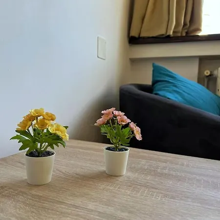 Apartamento Feel Like - Free Netflix *